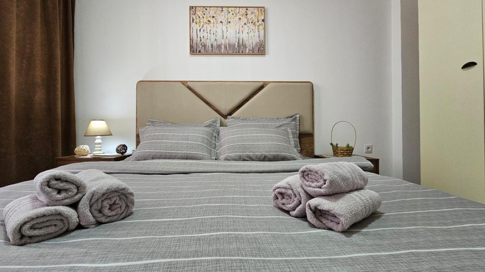 Superb 1 Bedroom In The Best Zone Of The City. Ferizaj Buitenkant foto