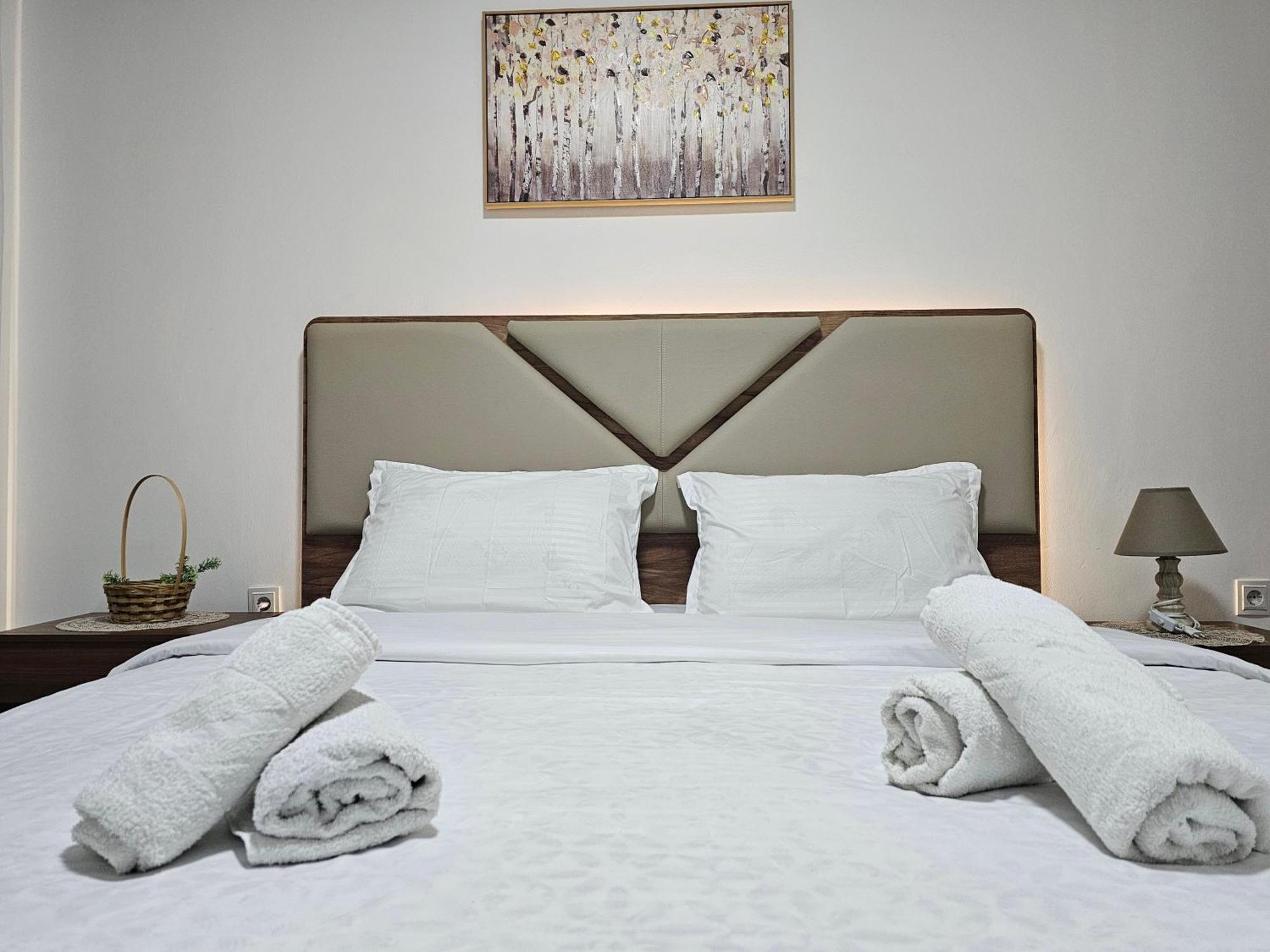 Superb 1 Bedroom In The Best Zone Of The City. Ferizaj Buitenkant foto